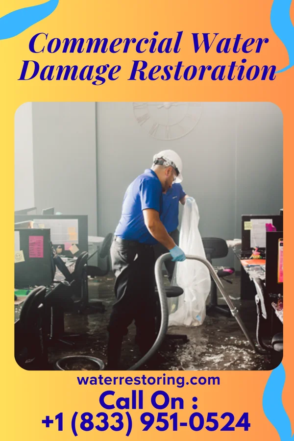 Commercial Water Damage Restoration in Newfolden, MN