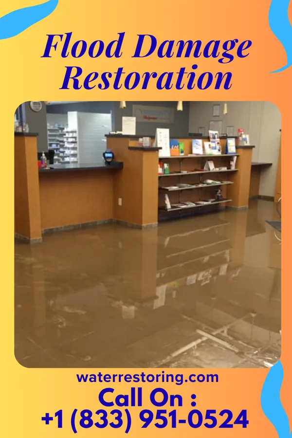 Flood Damage Restoration in Newfolden, MN