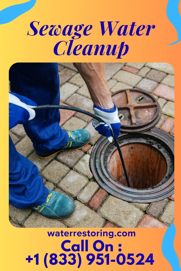 Sewage Water Cleanup in Newfolden, MN